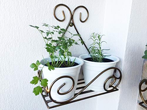 Cactus Creek Art Indoor & Outdoor Wall Mounted Metal Plant Stand