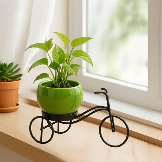 Crescendo Cycle-Shaped Metal Plant Stand for Indoor & Outdoor Use