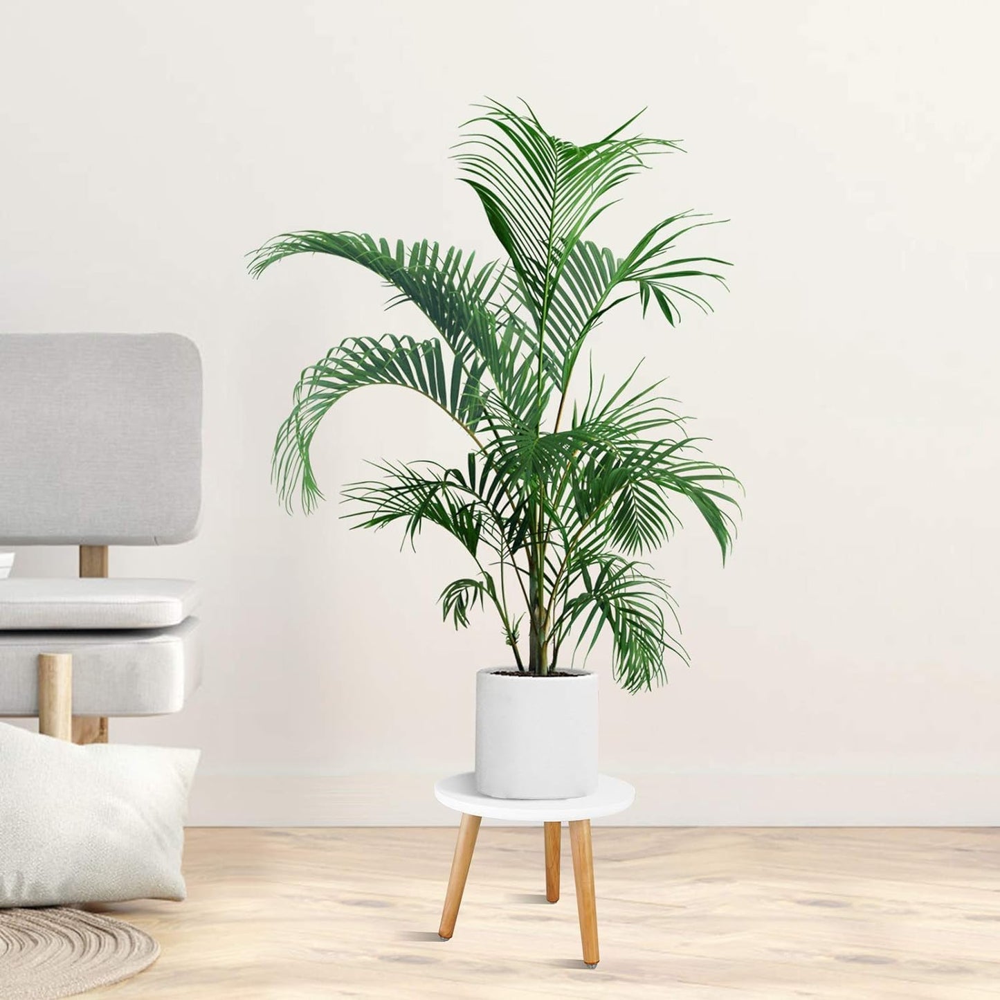 Solstice Plant Stand/Table, Gamla Stand