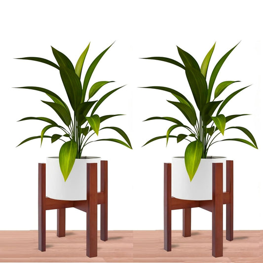 Dandelion Wooden Multipurpose Plant Stand Patio Indoor-Corner Plant Holder Pot Stand