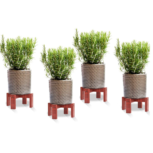 Dime Store Wooden Balcony Garden Plant Stand